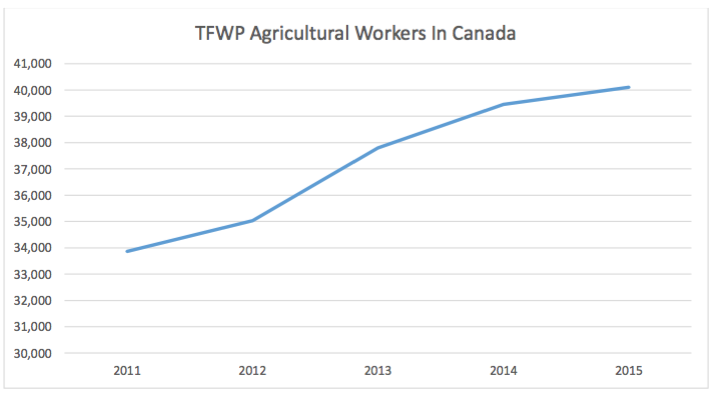 TFWP Agricultural Workers In Canada