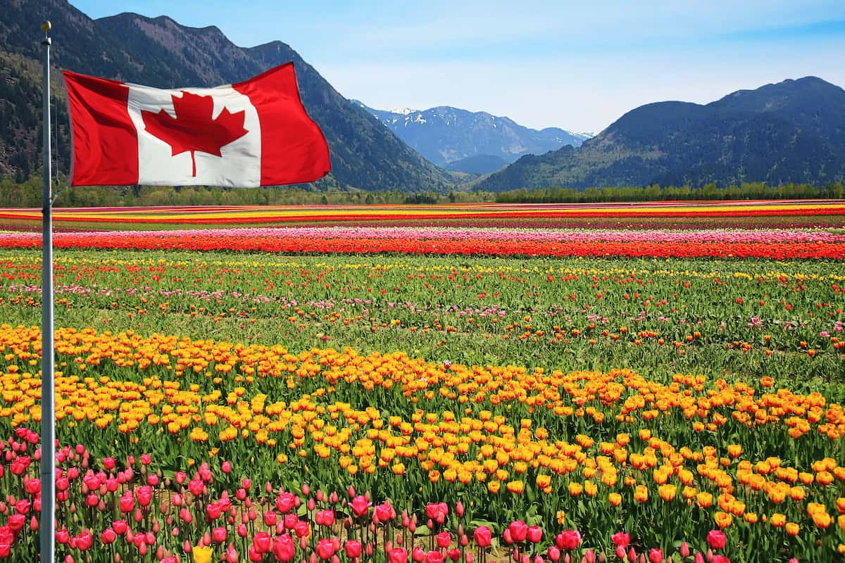 Canada Opens Applications For New Agri-Food Immigration Pilot