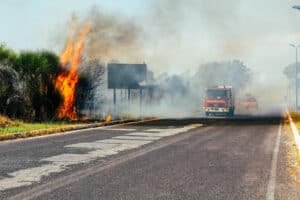 Canada Extends Immigration And Citizenship Document Relief For Wildfire Victims